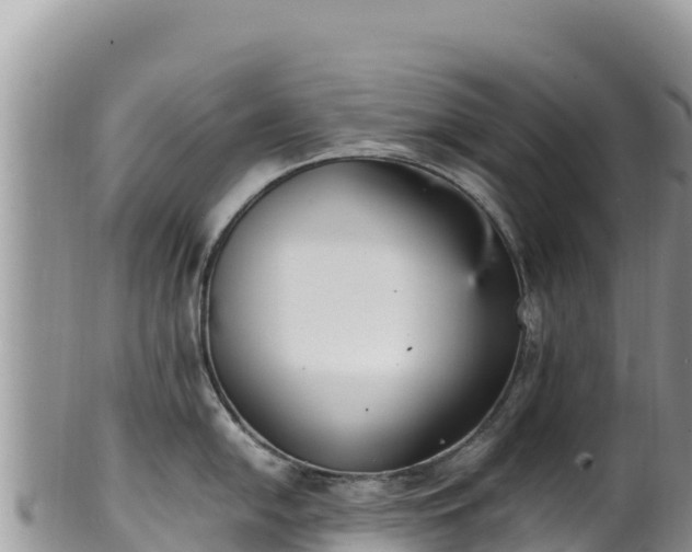 X0000102251054200808011306