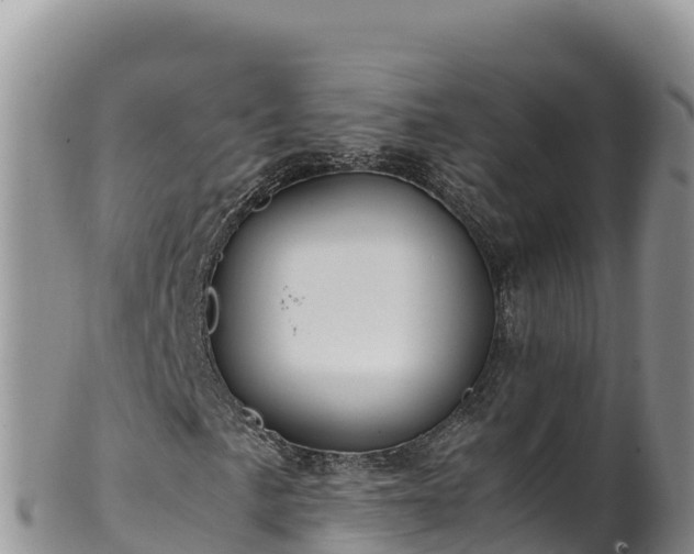 X0000102251057200808011306