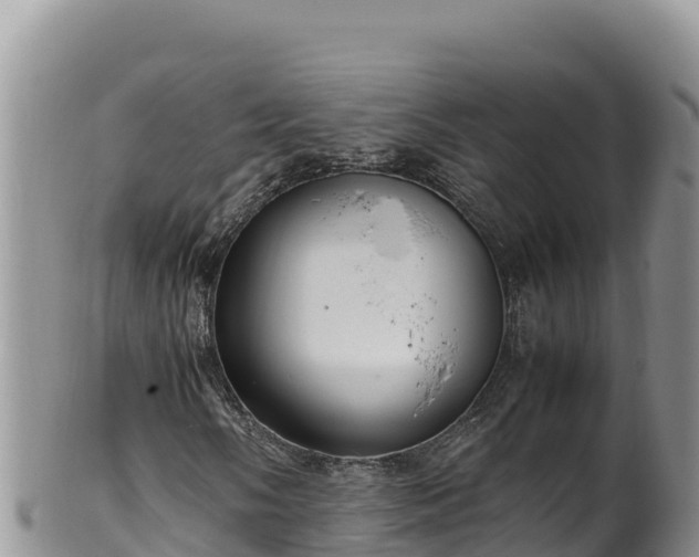 X0000102251058200808011306