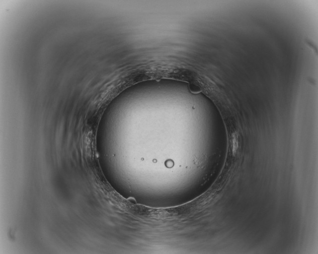 X0000102251059200808011306