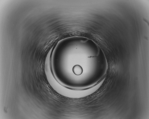 X0000102251060200808011306