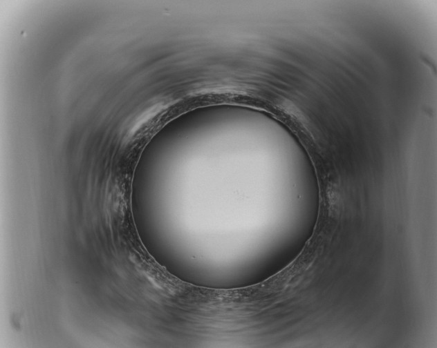 X0000102251064200808011305