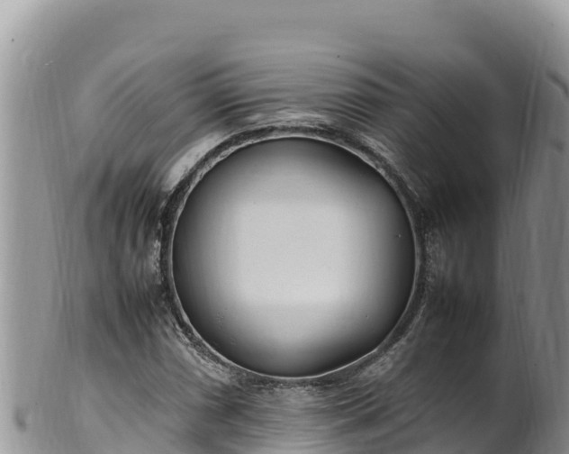 X0000102251066200808011305