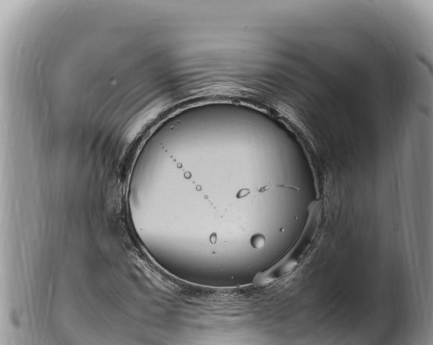 X0000102251067200808011305