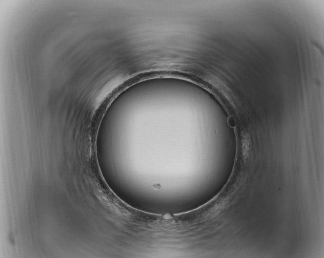 X0000102251069200808011305