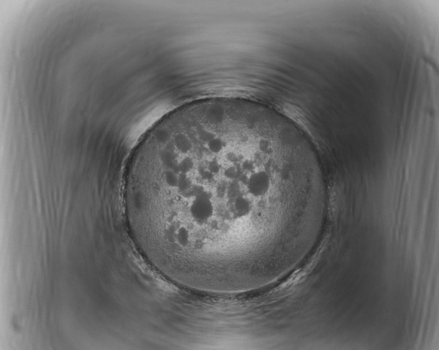 X0000102251071200808011305