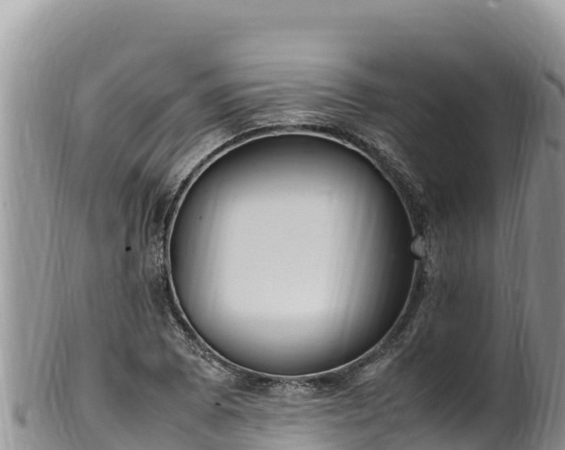 X0000102251073200808011305