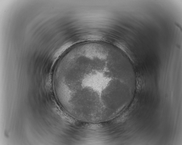 X0000102251074200808011305