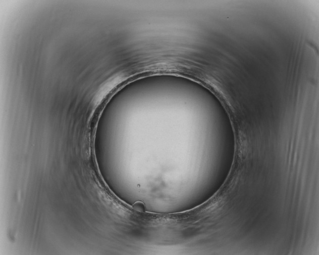 X0000102251075200808011305