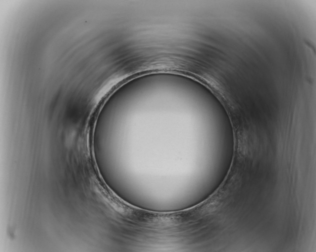 X0000102251078200808011305