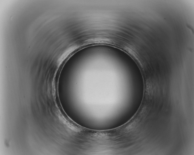 X0000102251082200808011305