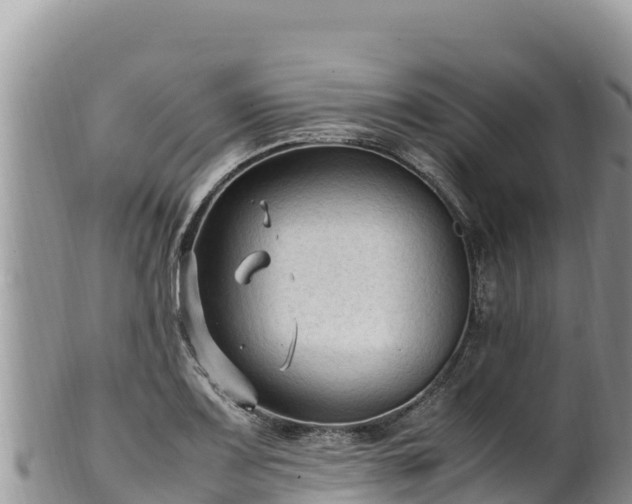 X0000102251083200808011305