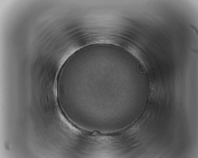 X0000102251084200808011305