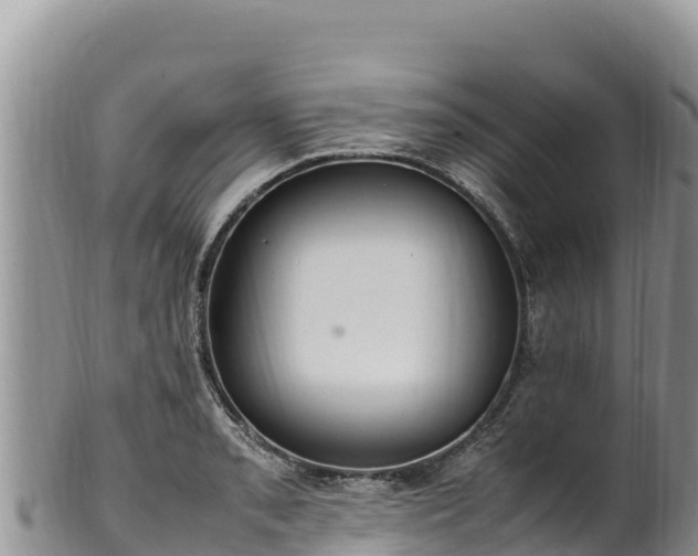 X0000102251085200808011305