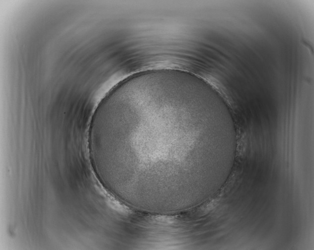 X0000102251086200808011305