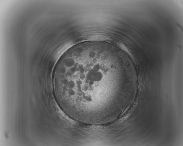 X0000102251087200808011305