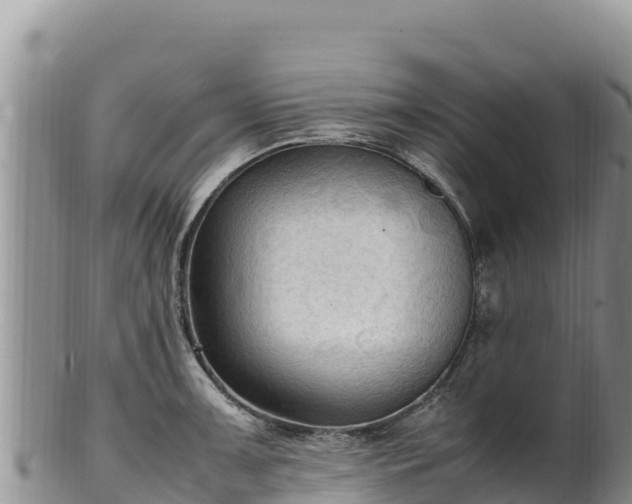 X0000102251091200808011305