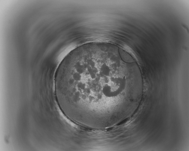 X0000102251095200808011305