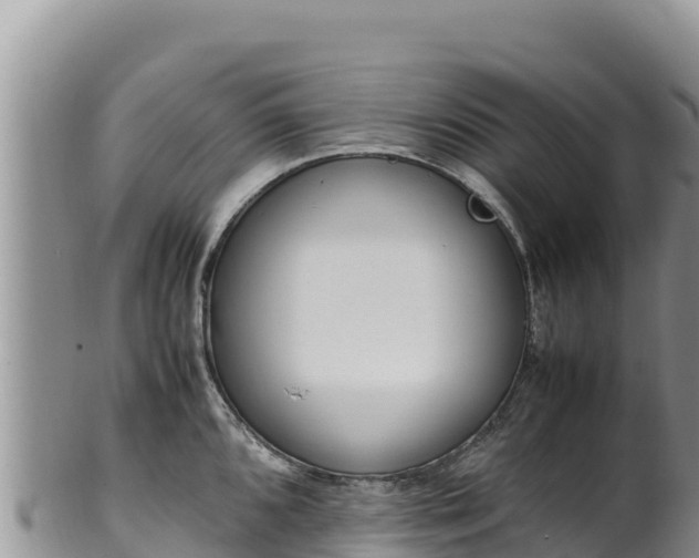 X0000102251096200808011305