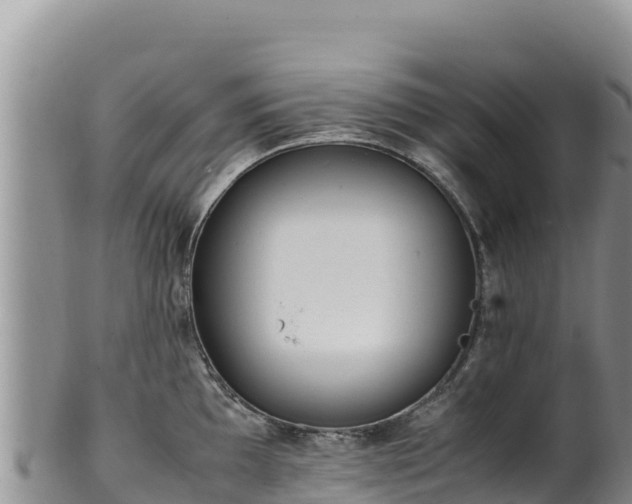 X0000102251097200808011305