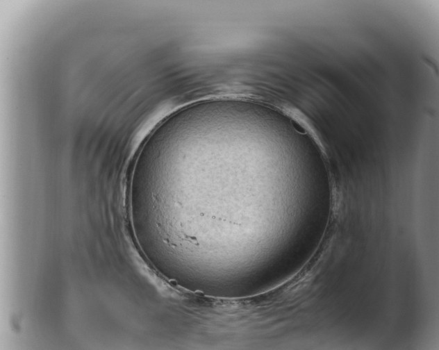 X0000102251099200808011305