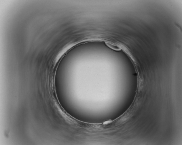 X0000102251101200808011305