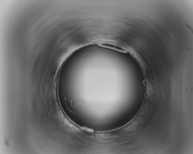 X0000102251102200808011305