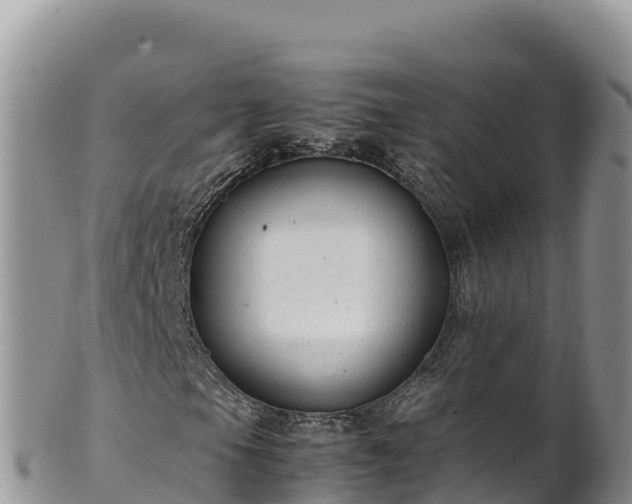 X0000102251105200808011304