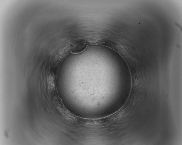 X0000102251106200808011304