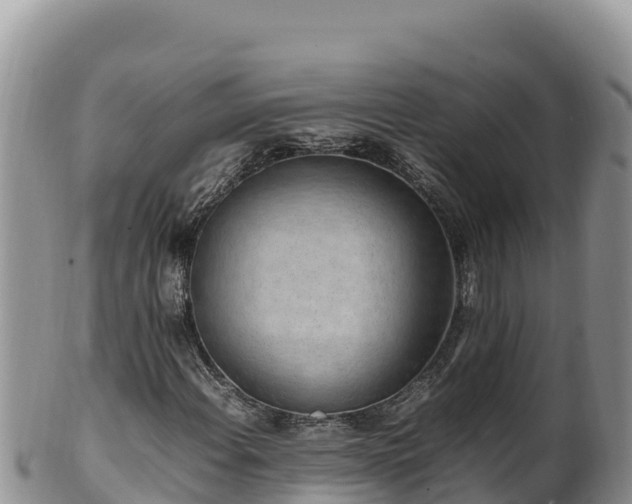 X0000102251108200808011304