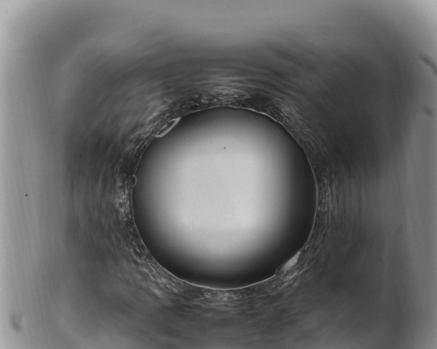 X0000102251109200808011304