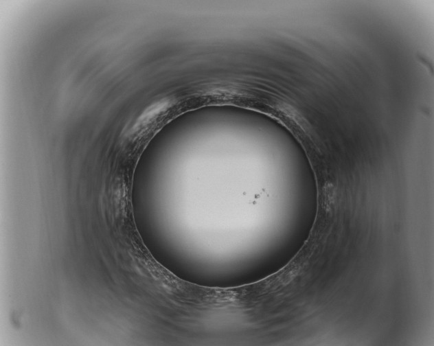 X0000102251111200808011304