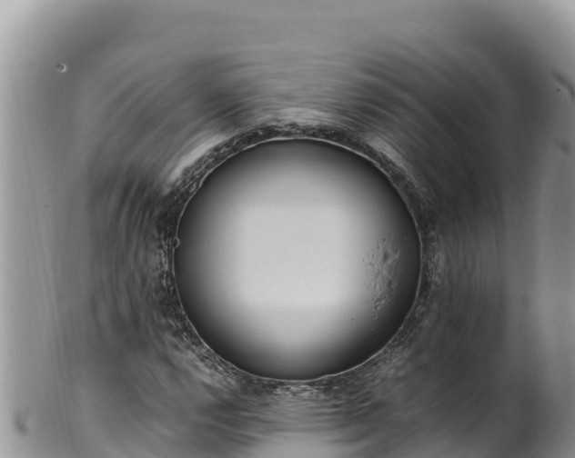 X0000102251112200808011304