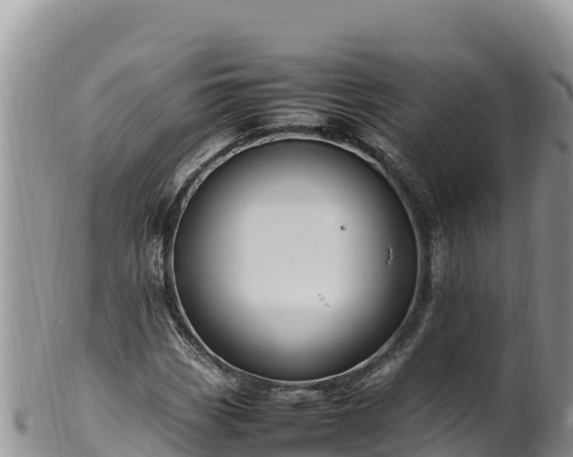 X0000102251113200808011304