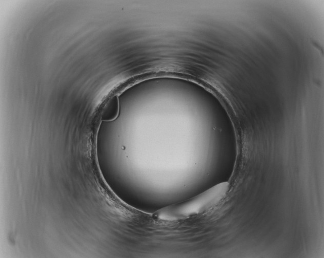 X0000102251115200808011304