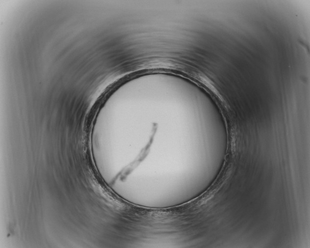 X0000102251116200808011304