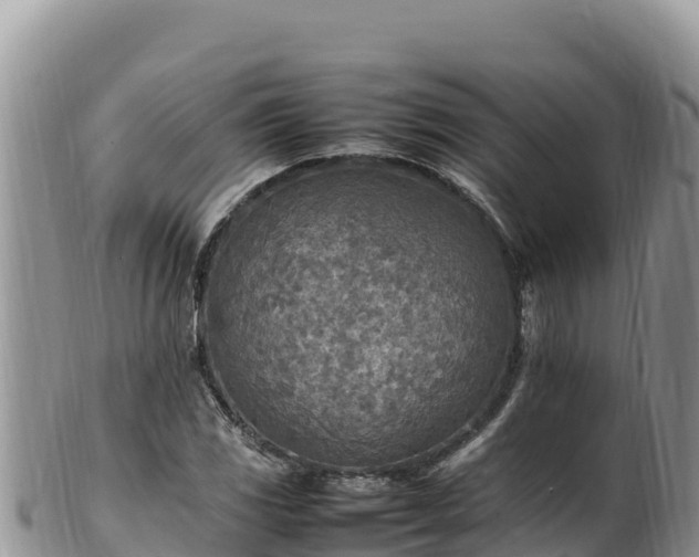 X0000102251117200808011304