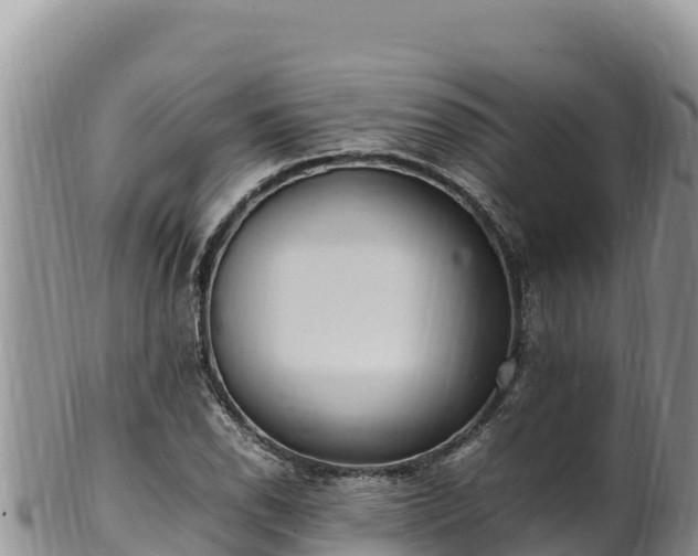 X0000102251118200808011304