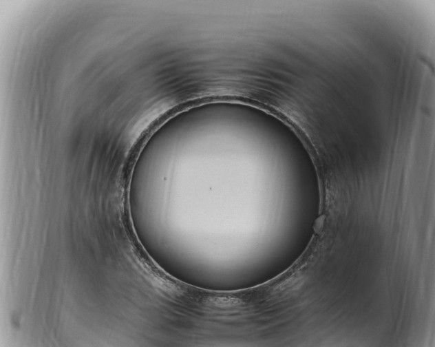 X0000102251119200808011304