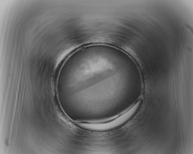 X0000102251120200808011304