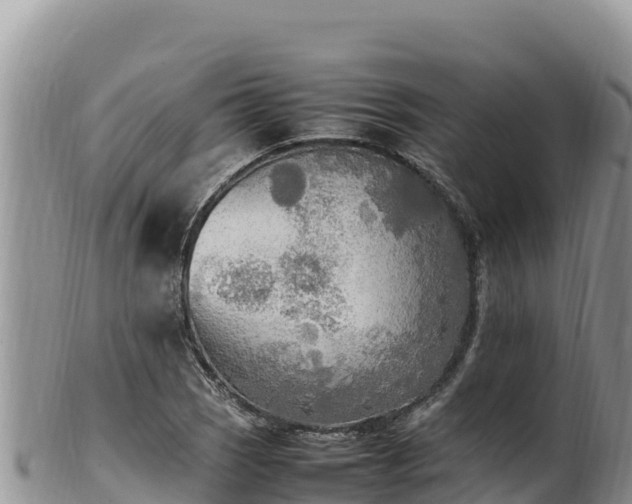 X0000102251121200808011304