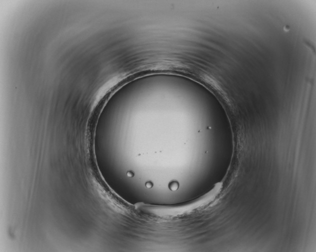 X0000102251122200808011304