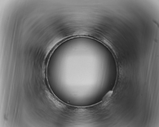 X0000102251124200808011304