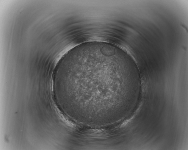 X0000102251125200808011304