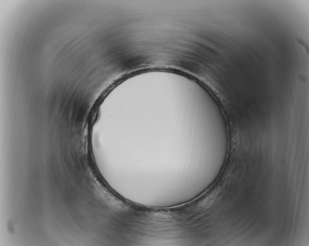 X0000102251126200808011305