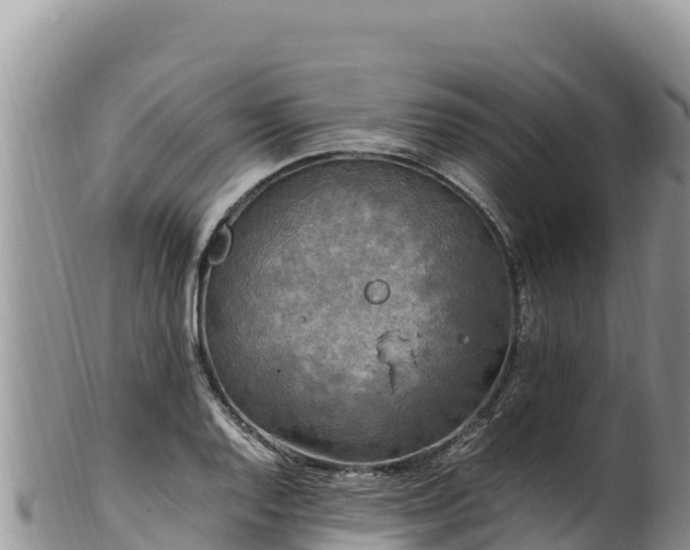 X0000102251128200808011305