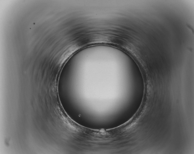 X0000102251129200808011305