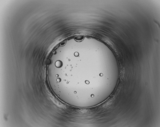 X0000102251130200808011305