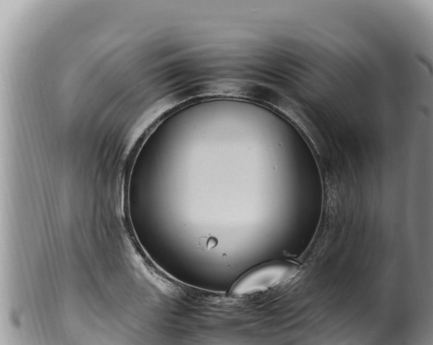 X0000102251131200808011305