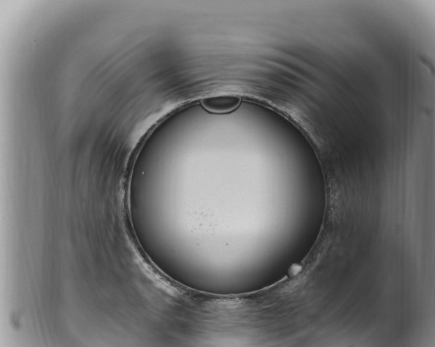 X0000102251134200808011305